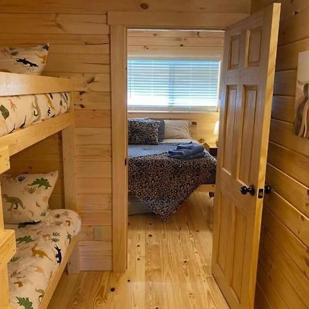 Serene 1Br Cabin Near Nc Z00 With Loft & Waterview Asheboro Luaran gambar